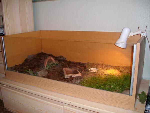 Terrarium żółwia Dyzia